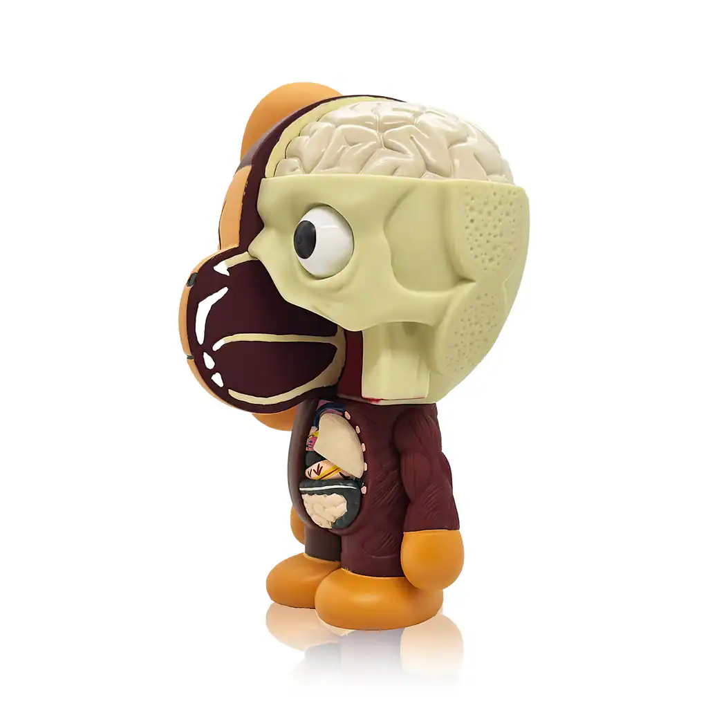 Brain anatomy themed Funko Pop figure, collectible toy for fans and collectors.