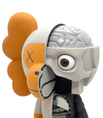 Unique Brain-Headed Toy with Half Skull and Brain Design.