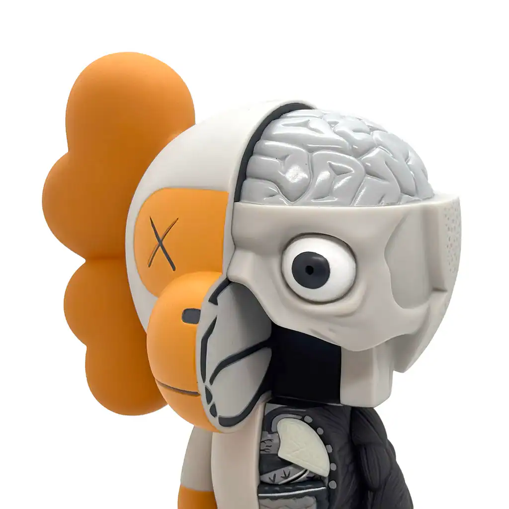 Unique Brain-Headed Toy with Half Skull and Brain Design.